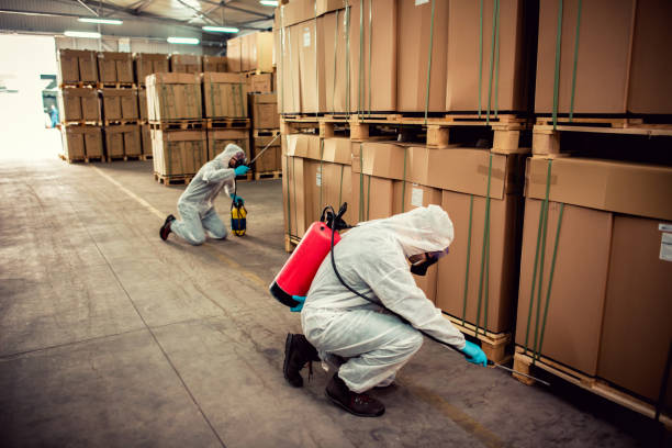 Best Pest Prevention Services  in Altus, OK