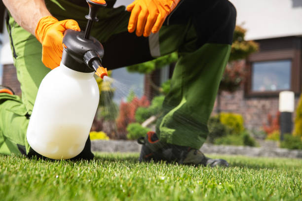 Best Cockroach Control Services  in Altus, OK