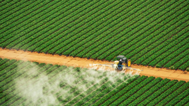  Altus, OK Pest Control Pros